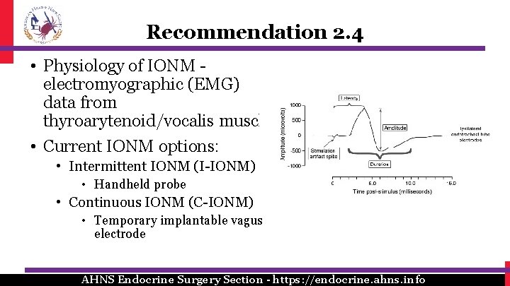 Recommendation 2. 4 • Physiology of IONM electromyographic (EMG) data from thyroarytenoid/vocalis muscle • Recommendation 2. 4 • Physiology of IONM electromyographic (EMG) data from thyroarytenoid/vocalis muscle •