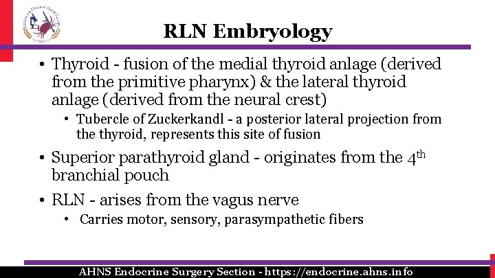 RLN Embryology • Thyroid - fusion of the medial thyroid anlage (derived from the