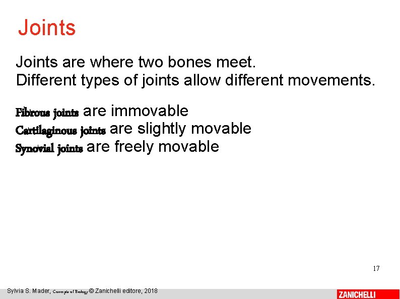 Joints are where two bones meet. Different types of joints allow different movements. Fibrous