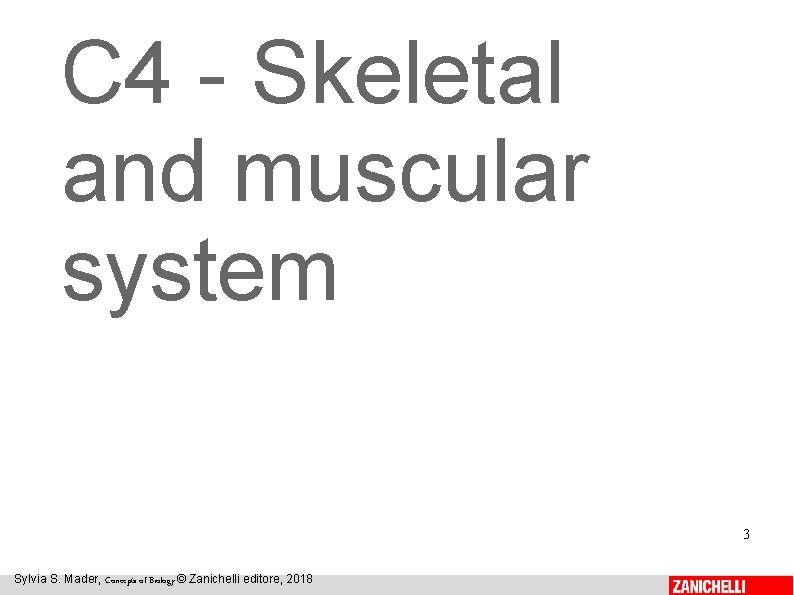 C 4 - Skeletal and muscular system 3 Sylvia S. Mader, Concepts of Biology