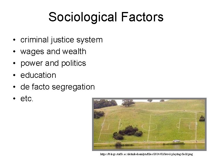 Sociological Factors • • • criminal justice system wages and wealth power and politics