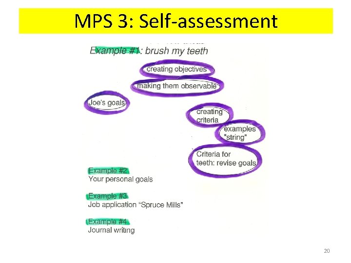 MPS 3: Self-assessment 20 