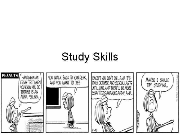 Study Skills 