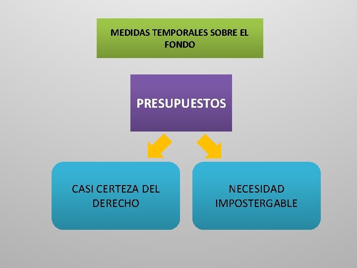 MEDIDAS TEMPORALES SOBRE EL FONDO PRESUPUESTOS CASI CERTEZA DEL DERECHO NECESIDAD IMPOSTERGABLE 