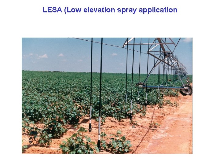 LESA (Low elevation spray application 