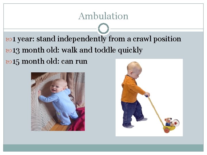 Ambulation 1 year: stand independently from a crawl position 13 month old: walk and