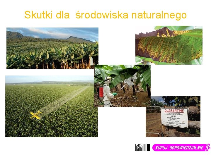 Skutki dla środowiska naturalnego 