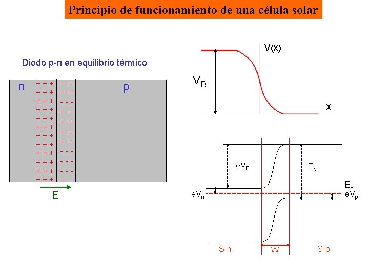 Principio de funcionamiento de una célula solar V(x) Diodo p-n en equilibrio térmico n