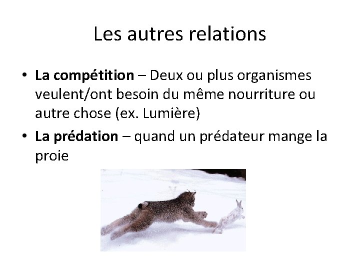 Les autres relations • La compétition – Deux ou plus organismes veulent/ont besoin du