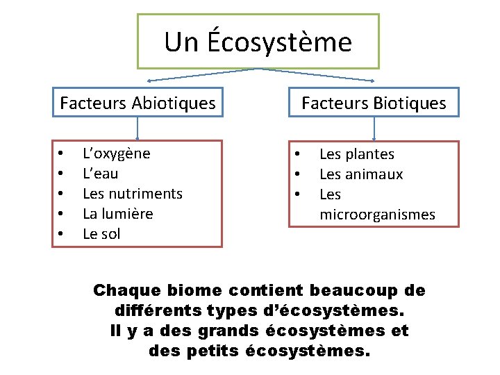 Un Écosystème Facteurs Abiotiques • • • L’oxygène L’eau Les nutriments La lumière Le