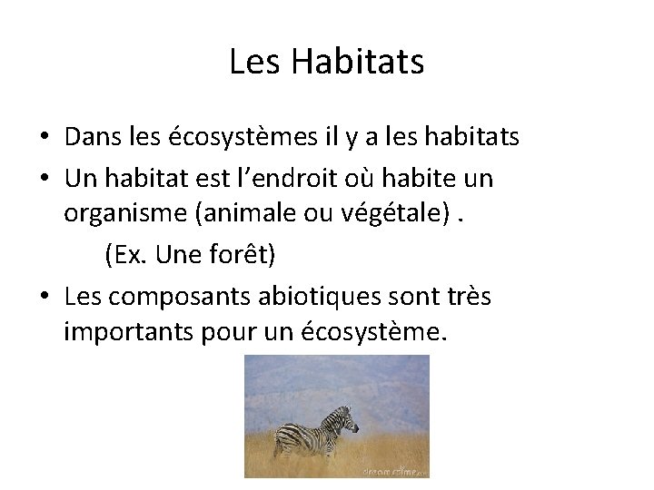 Les Habitats • Dans les écosystèmes il y a les habitats • Un habitat