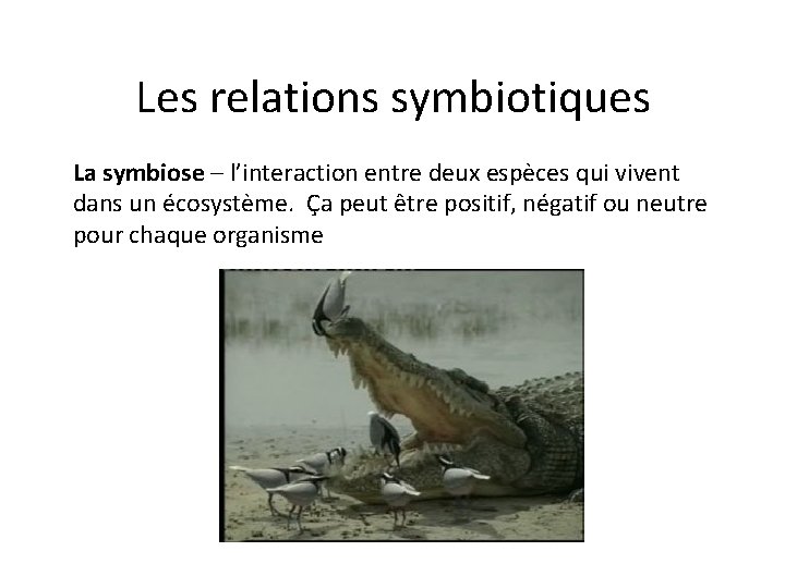 Les relations symbiotiques La symbiose – l’interaction entre deux espèces qui vivent dans un