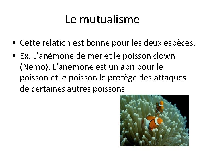 Le mutualisme • Cette relation est bonne pour les deux espèces. • Ex. L’anémone