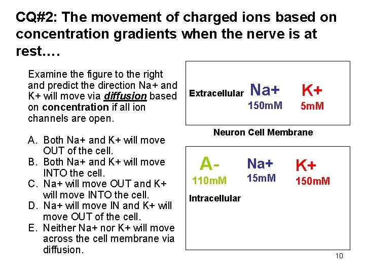 CQ#2: The movement of charged ions based on concentration gradients when the nerve is