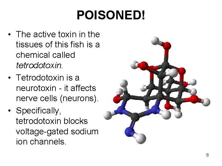 POISONED! • The active toxin in the tissues of this fish is a chemical