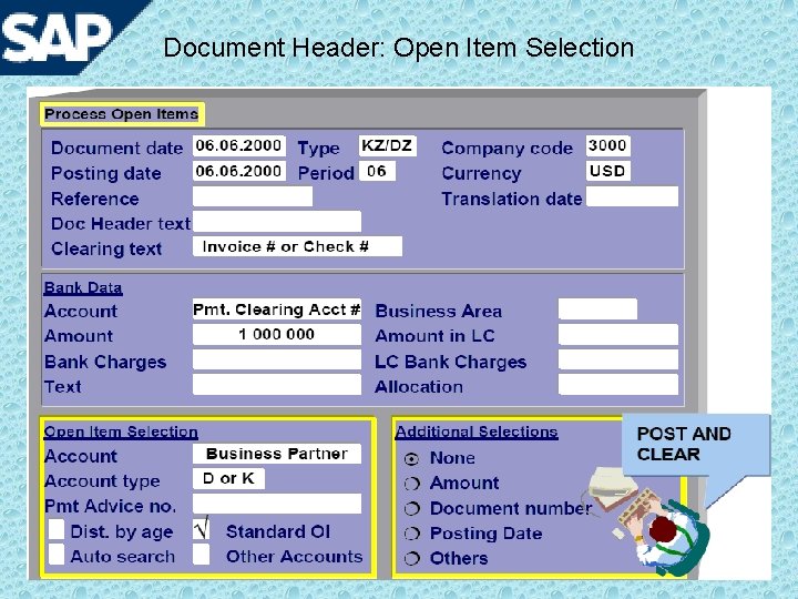 Document Header: Open Item Selection 