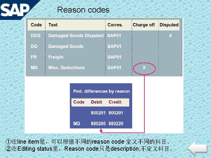 Reason codes ①在line item里，可以根据不同的reason code 定义不同的科目。 ②在Editing status里，Reason code只是description, 不定义科目。 