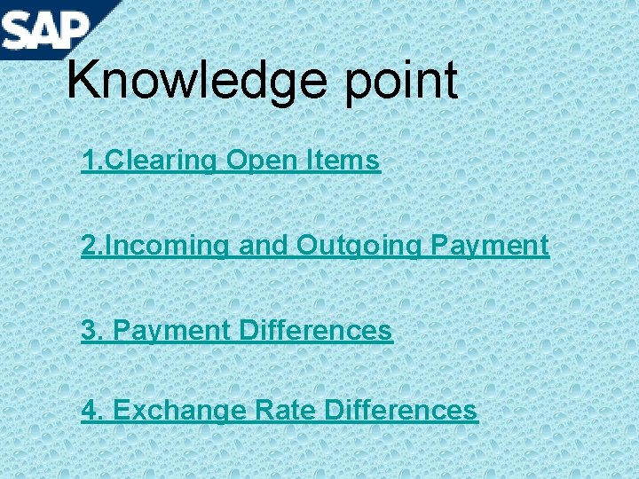 Knowledge point 1. Clearing Open Items 2. Incoming and Outgoing Payment 3. Payment Differences