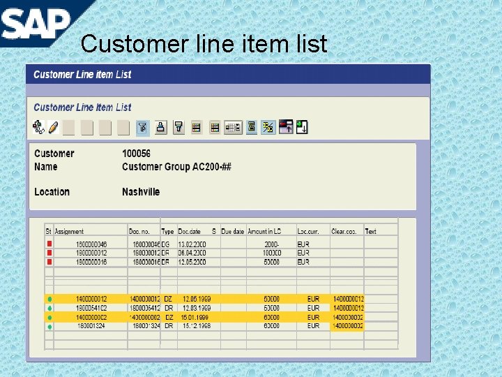 Customer line item list 