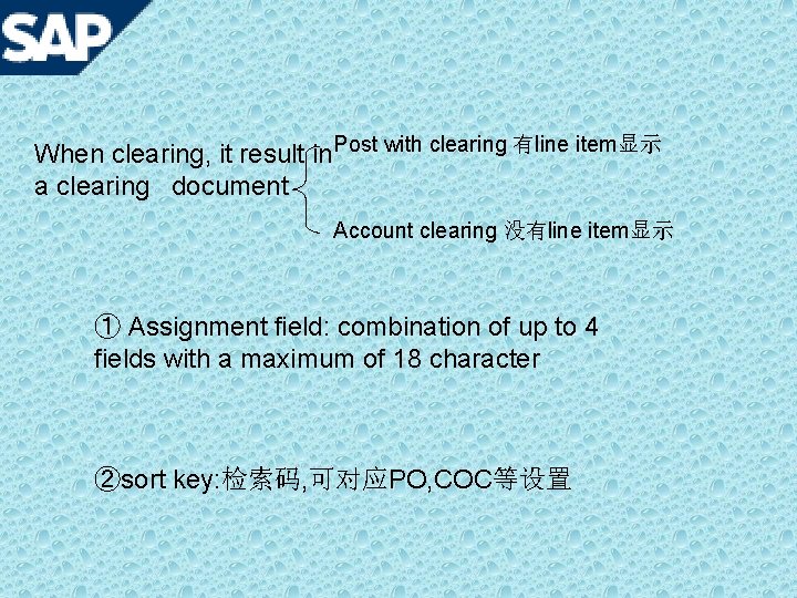 When clearing, it result in Post with clearing 有line item显示 a clearing document Account