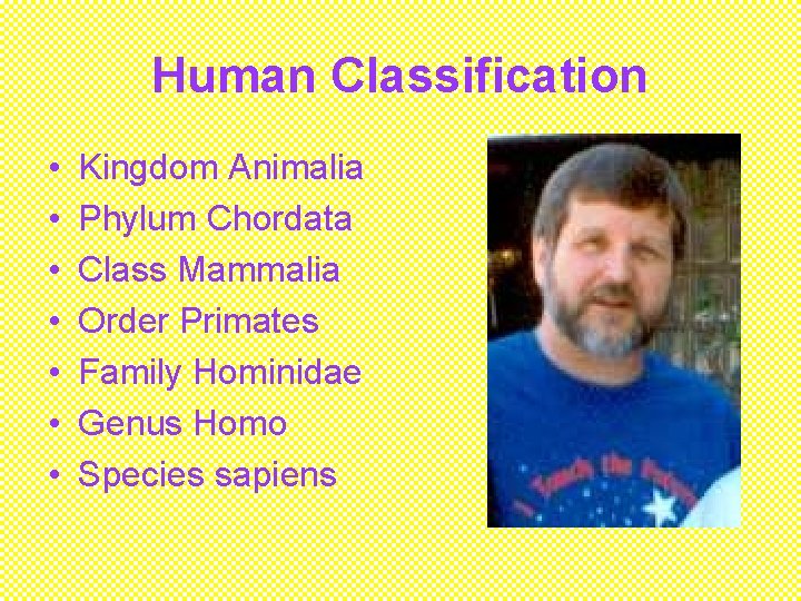 Human Classification • • Kingdom Animalia Phylum Chordata Class Mammalia Order Primates Family Hominidae