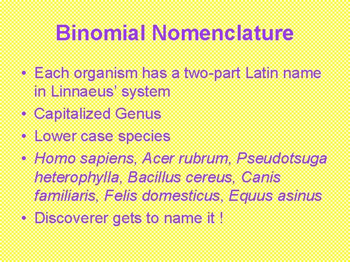 Binomial Nomenclature • Each organism has a two-part Latin name in Linnaeus’ system •