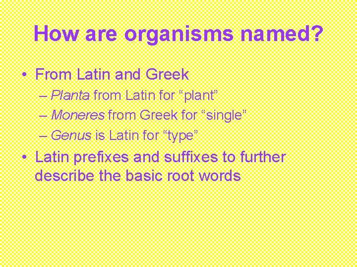 How are organisms named? • From Latin and Greek – Planta from Latin for