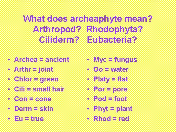 What does archeaphyte mean? Arthropod? Rhodophyta? Ciliderm? Eubacteria? • • Archea = ancient Arthr