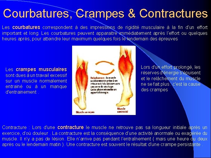 Courbatures, Crampes & Contractures Les courbatures correspondent à des impressions de rigidité musculaire à