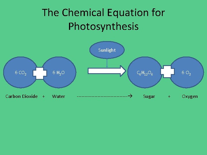 The Chemical Equation for Photosynthesis Sunlight 6 CO 2 Carbon Dioxide + 6 H