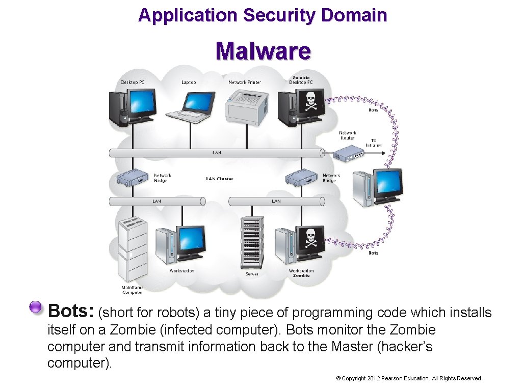 Application Security Domain Malware Bots: (short for robots) a tiny piece of programming code