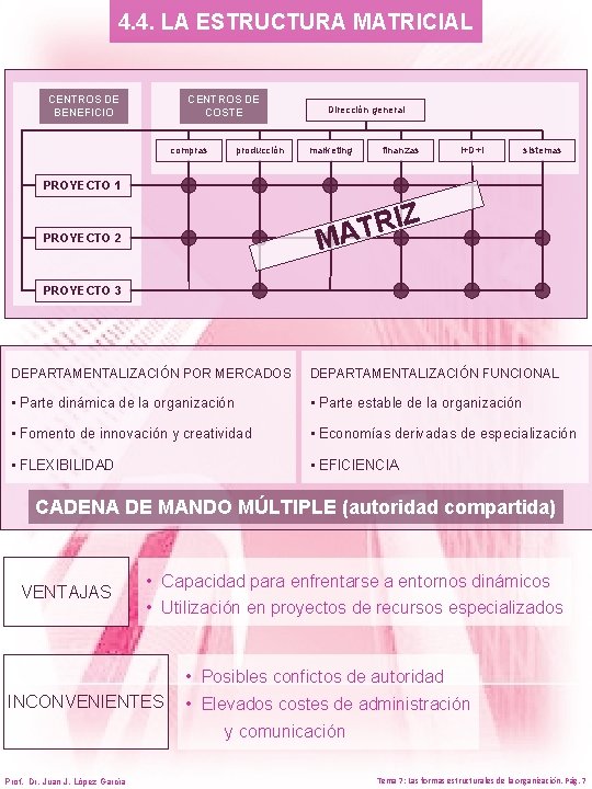 4. 4. LA ESTRUCTURA MATRICIAL CENTROS DE BENEFICIO CENTROS DE COSTE compras producción Dirección 4. 4. LA ESTRUCTURA MATRICIAL CENTROS DE BENEFICIO CENTROS DE COSTE compras producción Dirección