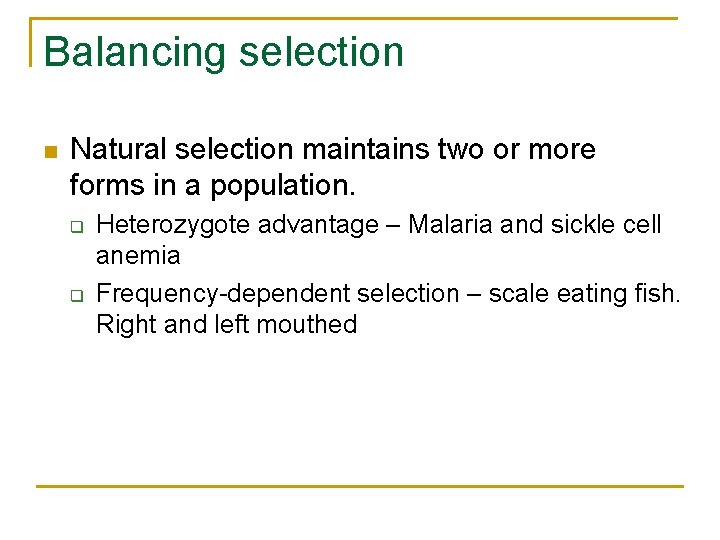 Balancing selection n Natural selection maintains two or more forms in a population. q