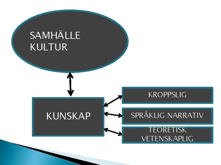 SAMHÄLLE KULTUR KROPPSLIG KUNSKAP SPRÅKLIG NARRATIV TEORETISK VETENSKAPLIG 