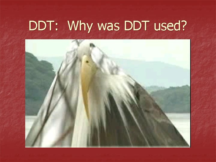 DDT: Why was DDT used? 