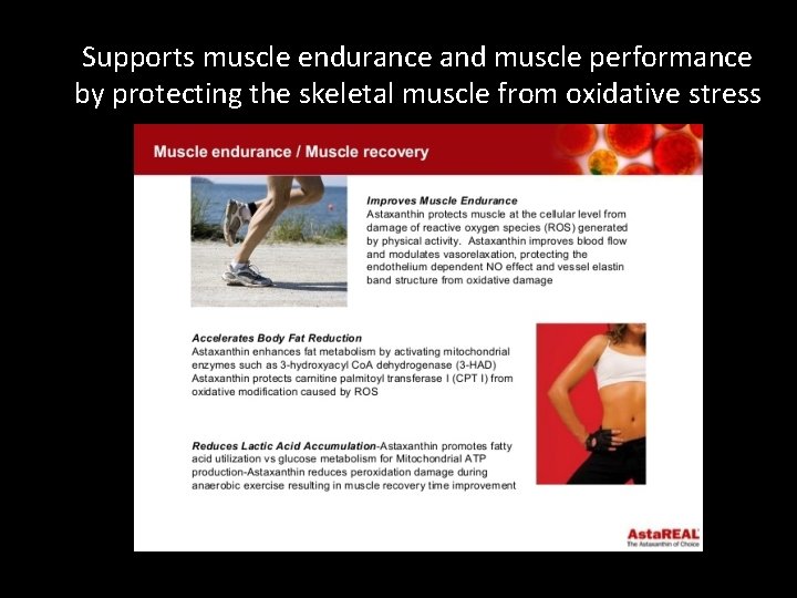 Supports muscle endurance and muscle performance by protecting the skeletal muscle from oxidative stress