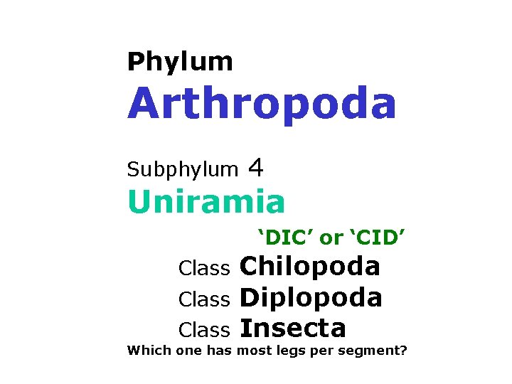 Phylum Arthropoda Subphylum 4 Uniramia ‘DIC’ or ‘CID’ Class Chilopoda Diplopoda Insecta Which one