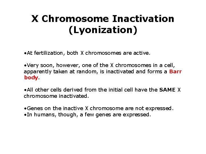 X Chromosome Inactivation (Lyonization) • At fertilization, both X chromosomes are active. • Very