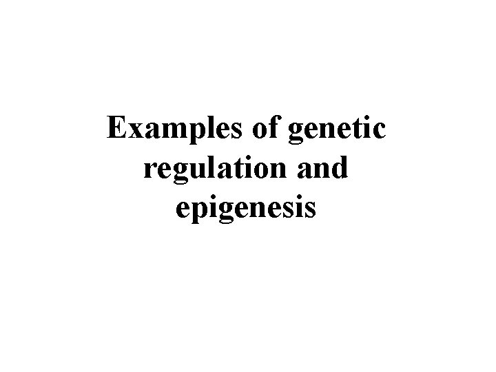 Examples of genetic regulation and epigenesis 