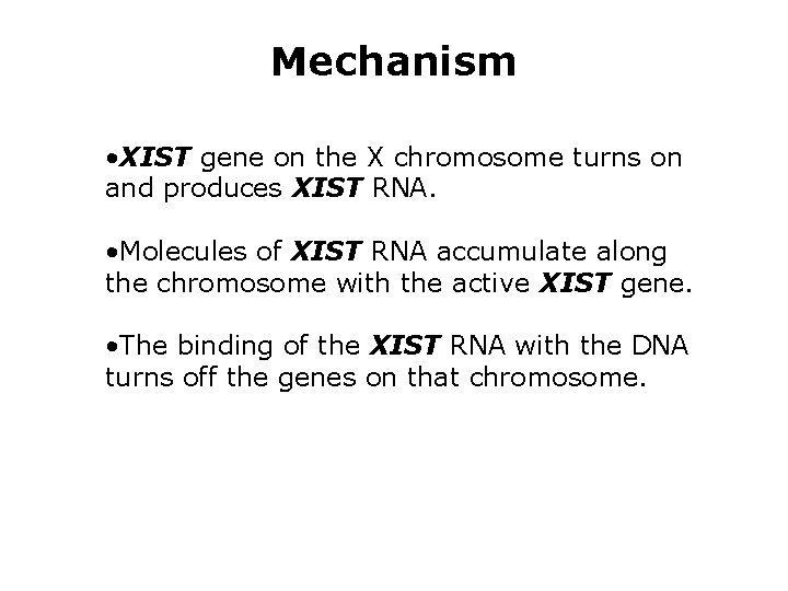 Mechanism • XIST gene on the X chromosome turns on and produces XIST RNA.