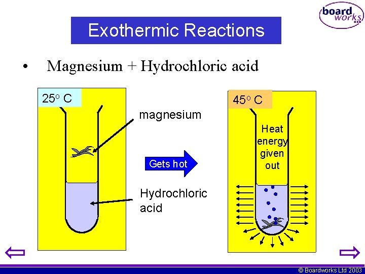Exothermic Reactions • Magnesium + Hydrochloric acid 25 o C 45 o C magnesium