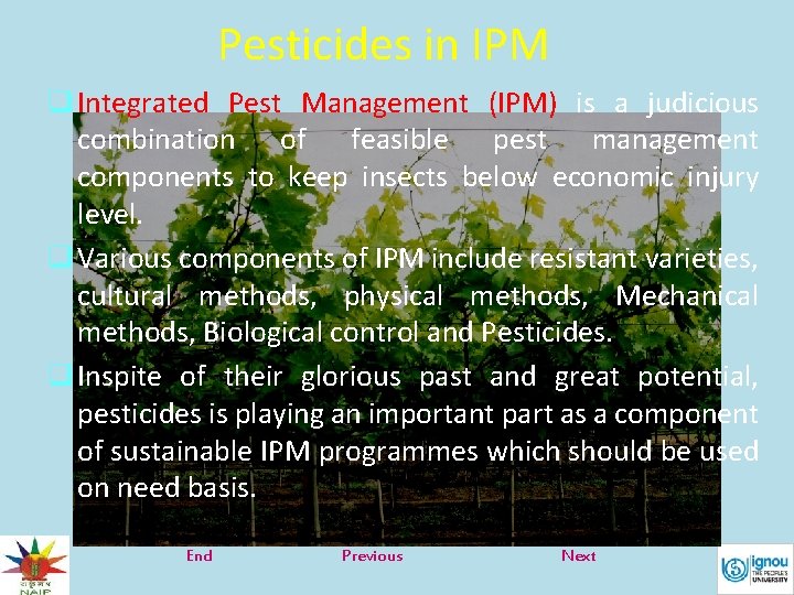 Pesticides in IPM q Integrated Pest Management (IPM) is a judicious combination of feasible