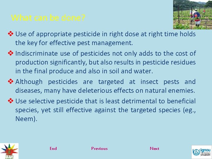 What can be done? v Use of appropriate pesticide in right dose at right