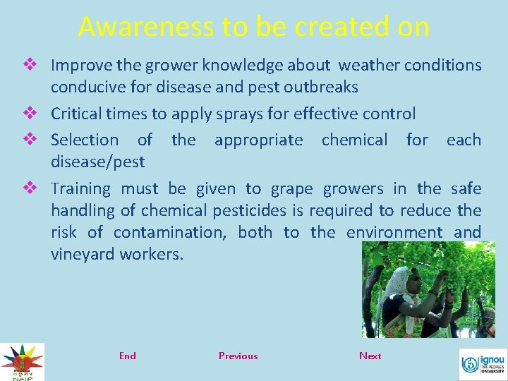Awareness to be created on v Improve the grower knowledge about weather conditions conducive