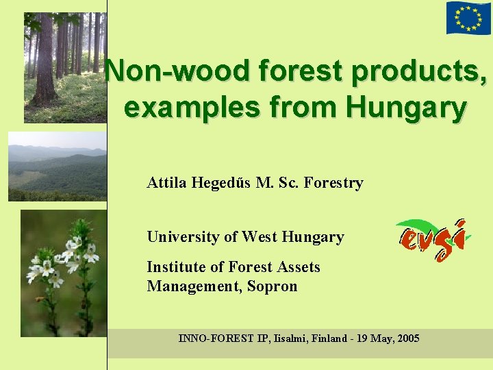 Non-wood forest products, examples from Hungary Attila Hegedűs M. Sc. Forestry University of West