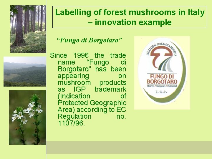 Labelling of forest mushrooms in Italy – innovation example “Fungo di Borgotaro” Since 1996