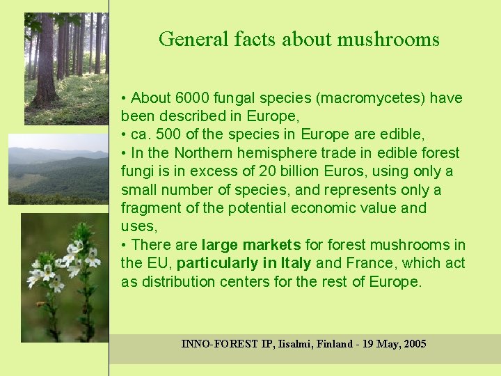 General facts about mushrooms • About 6000 fungal species (macromycetes) have been described in