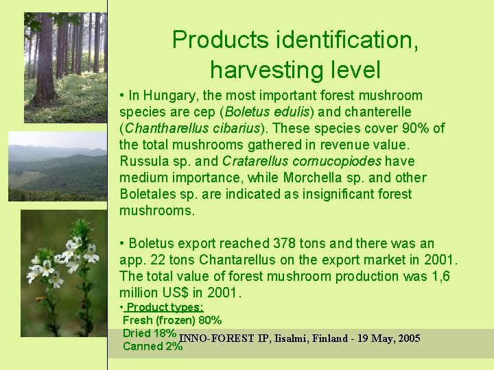 Products identification, harvesting level • In Hungary, the most important forest mushroom species are