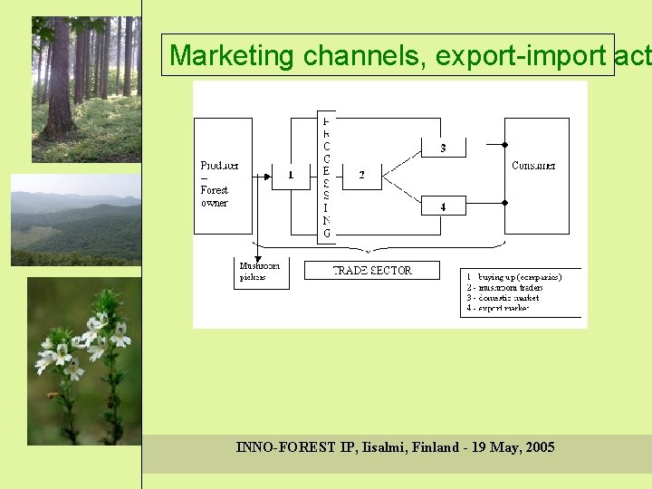 Marketing channels, export-import act INNO-FOREST IP, Iisalmi, Finland - 19 May, 2005 