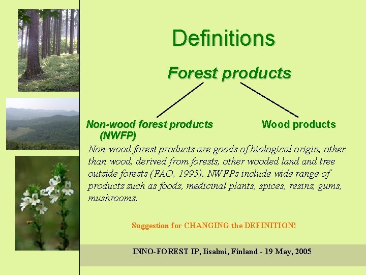 Definitions Forest products Non-wood forest products Wood products (NWFP) Non-wood forest products are goods